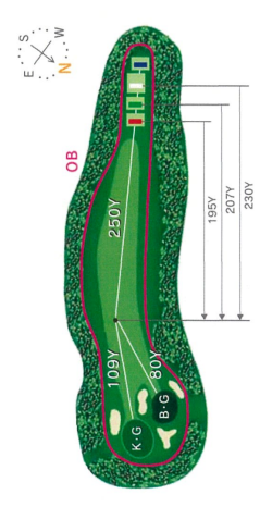 트라이얼골프리조트 와카미야코스 [후쿠오카공항 40분] IN HOLE : 14