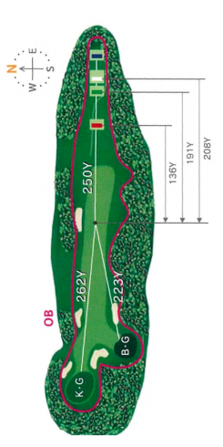 트라이얼골프리조트 와카미야코스 [후쿠오카공항 40분] IN HOLE : 10